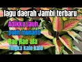 Download Lagu Lagu daerah Jambi terbaru 