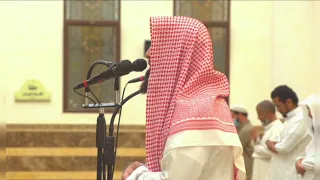 محمد اللحيدان سورة الفجر  الم ترى كيف فعل ربك بعاد  دندنها