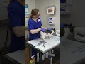 Performing a cat stretch