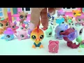 Nostalgia Dog Cat LPS Collectors Collection