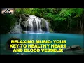 Download Lagu Relaxing music treats diseases of the heart and blood vessels