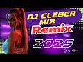Download Lagu Scallywag - It's Your Love (Dj Cleber Mix Remix) + LYRICS