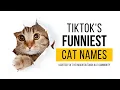 FUNNIEST CAT NAMES - Unique Hilarious and Unforgettable Pet Name Ideas