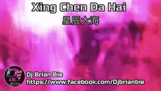 Download Xing Chen Da Hai 星辰大海 Remix By Dj Brian Bie Tiktok Hot Song Douyin MP3