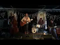 Sarah Harmer performing Lodestar March 8 2015 at The Mansion Kingston Ontario.