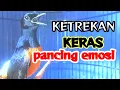 Download Lagu KETREKAN KERAS PANCING EMOSI murai batu gacor medan full isian