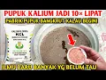 Download Lagu Rahasia membuat Pupuk Kcl dan Kno3 Lebih dahsyat..!! Cara membuat pupuk organik kalium tinggi