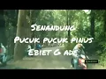 Download Lagu Senandung Pucuk-Pucuk Pinus,Ebiet G Ade.
