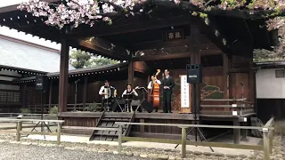 東京大衆歌謡楽団 南洋航路 ラバウル小唄付 