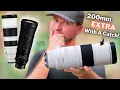 MEGAZOOM BATTLE CANON RF 200-800 Vs NIKON 180-600 Vs SONY 200-600
