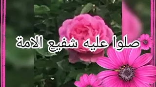   صلوا عليه شفيع الامه سامي  يوسف     دندنها