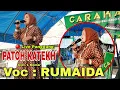 Download Lagu PATOH KATEKH ( REMIX LAMPUNG) | CIPT. L KOMAR Voc : RUMAIDA | MIXDUT LAMPUNG POPULER | MUSIK LAMPUNG
