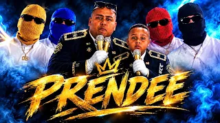                                          دندنها