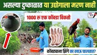 फ्री रेंज कोंबडी पालन + तुती आणि शेवगा मॉडेल | Free Range Poultry Farming Marathi | शोध वार्ता |  
