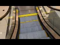 Schindler Escalators Nordstrom - West County Center