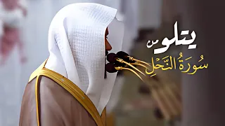 تلاوة من سورة النحل للشيخ د عبدالله القرافي ليلة 19 9 1445هـ من مسجد رسول الله ﷺ 