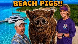 Pigs, Paradise, Big O’s, & a Wild Bahamian Parade! | Ep. 38