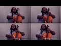 Arrival of the Birds - The Cinematic Orchestra (Cello Cover)