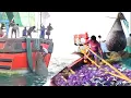 Download Lagu Boat Fishing Adventure 🎣 | Epic Sea Catch in Minutes @KadalTv