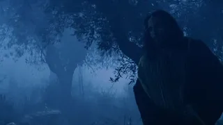 the passion of christ jesus christ 