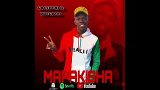 mapakisha gatsheni feat vrega101 
