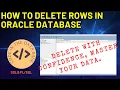 Basic SQL Deleting Data from a Database Table Easy Steps