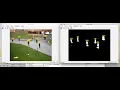 Multiple Object Detection via Kalman Filter in Matlab