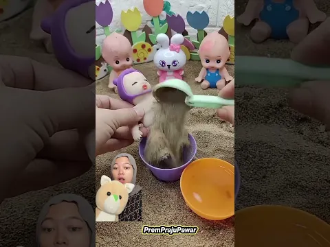 Ayo mandi pake coklat