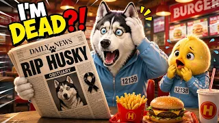 Who exactly published the news story about the “Husky’s death”? #funny #animals #animation #story