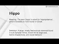 Hippo Meaning
