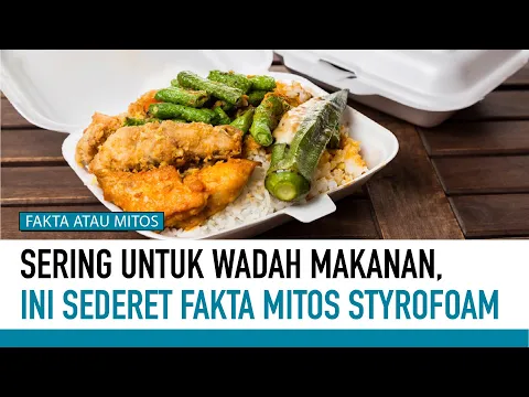 Apakah Wadah Styrofoam Berbahaya Bagi Kesehatan?