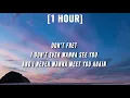 Oliver Tree & Robin Schulz - Miss You [1 HOUR/Lyrics] (TikTok Remix)