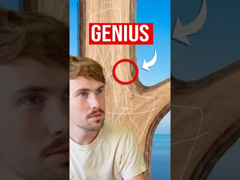 Genius Way Buildings Copy Nature