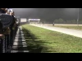 Greyhounds racing in Daytona track