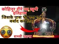 Download Lagu 😱श्रापित हीरे की सच्ची घटना 🤯कोहिनूर जिसने बड़े बड़े साम्राज्यों को बर्बाद कर दिया। #shorts