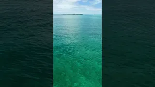 We Forgot Sailing Could Feel This Smooth… Bahamas Magic 🌊☀️ #familyadventure