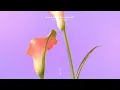 Falden & ALLKNIGHT - Make It Out [Extended Mix]