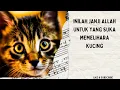 Download Lagu 5 Janji allah bagi yang suka memelihara kucing