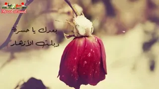 لو تعرفي يم القلب قاسي نوارالحسن 
