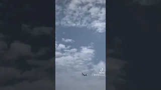 قلبي كيف يهون عشيره دندنها