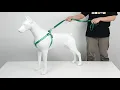 Reflective Nylon STEP IN Dog Harness