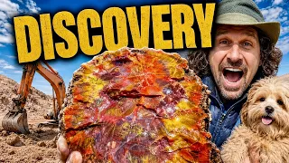 Rainbow Petrified Wood Machine Dig Goes Bananas! Whaaaaaaaaaaat!