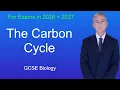GCSE Biology Revision The Carbon Cycle