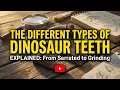 Dinosaur Teeth EXPLAINED Predator vs Herbivore