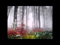 Download Lagu 009 SURAH AT TAUBAH , (Audio) Recited By Sheikh Abdul Rahman Al-Sudais