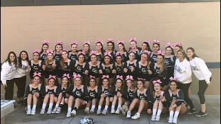 Cheer Q A and my view