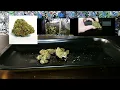 Gelato strain review