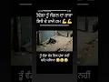 Download Lagu #babbumaan #trending #funny #suchasoorma #new #punjabi #song #music #sidhumoosewala #lyrics #newsong