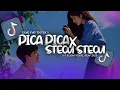 Download Lagu DJ STECU STECU X PICA PICA SLOW VIRAL TIKTOK TERBARU FULL SONG - REMIX BY DJ MIKO OI 2025