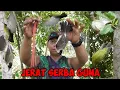 Download Lagu JEBAKAN SEGALA BURUNG MENGGUNAKAN PENTIL SEPEDA